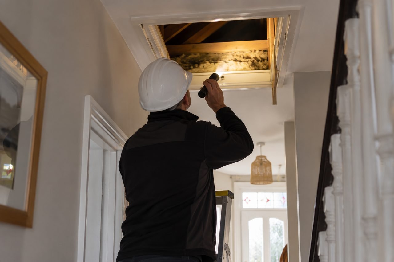 Domestic energy assessor in a hard hat seen from behind, shining a torch into a loft hatch of a British terraced house, ladder under the hat